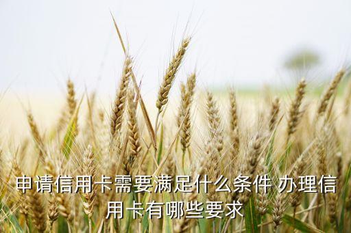 申请信用卡需要满足什么条件 办理信用卡有哪些要求