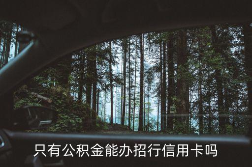 只有公积金能办招行信用卡吗