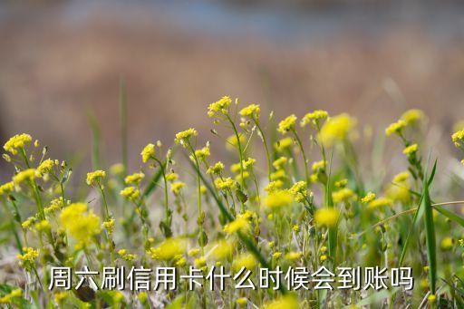 周六刷信用卡什么时候会到账吗
