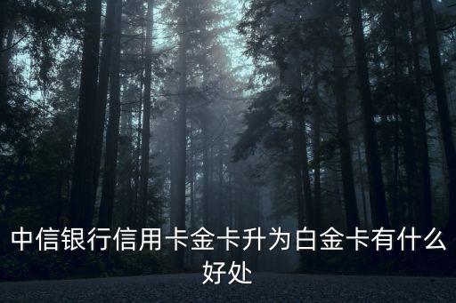中信银行信用卡金卡升为白金卡有什么好处