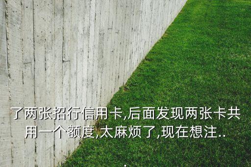 了两张招行信用卡,后面发现两张卡共用一个额度,太麻烦了,现在想注...