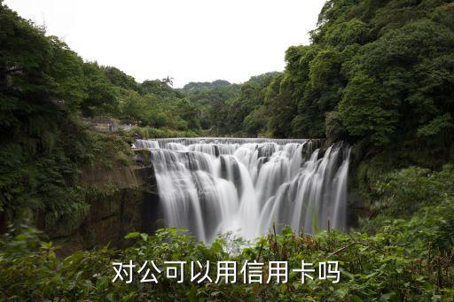 对公可以用信用卡吗