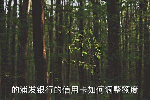 的浦发银行的信用卡如何调整额度