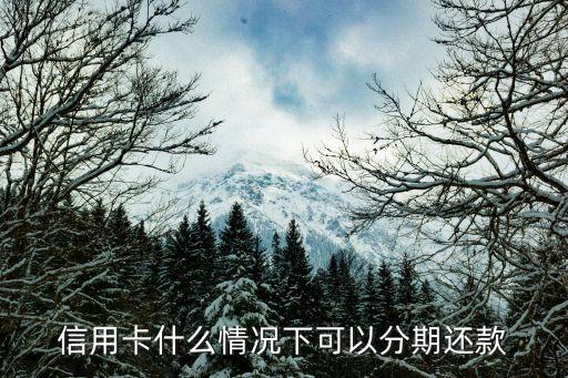 信用卡什么情况下可以分期还款