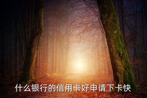 什么银行的信用卡好申请下卡快