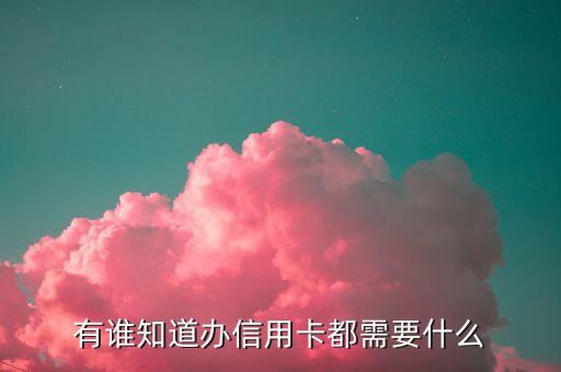 有谁知道办信用卡都需要什么