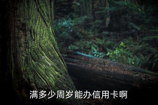 满多少周岁能办信用卡啊