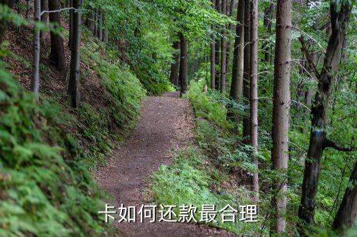 贷的钱还信用卡怎么还款,信用卡怎么还贷款的钱