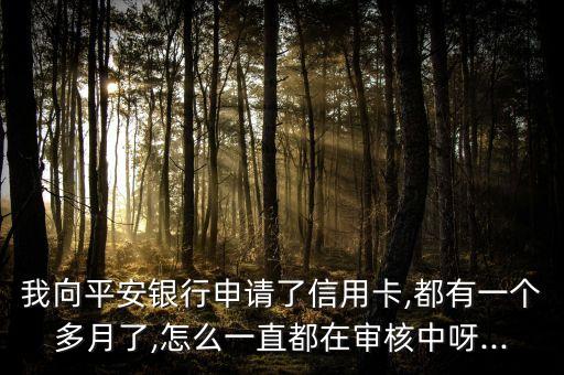 我向平安银行申请了信用卡,都有一个多月了,怎么一直都在审核中呀...