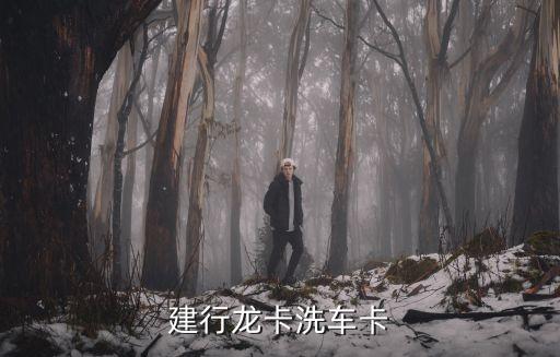 建行龙卡洗车卡