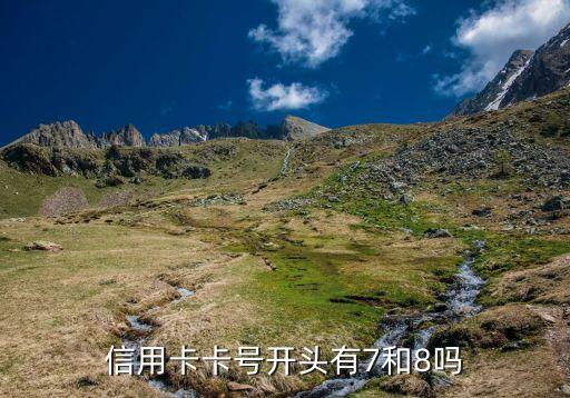 信用卡卡号开头有7和8吗