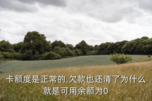 卡额度是正常的,欠款也还清了为什么就是可用余额为0
