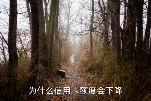 为什么信用卡额度会下降