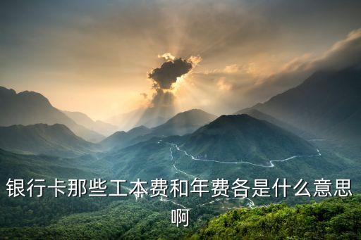 银行卡那些工本费和年费各是什么意思啊