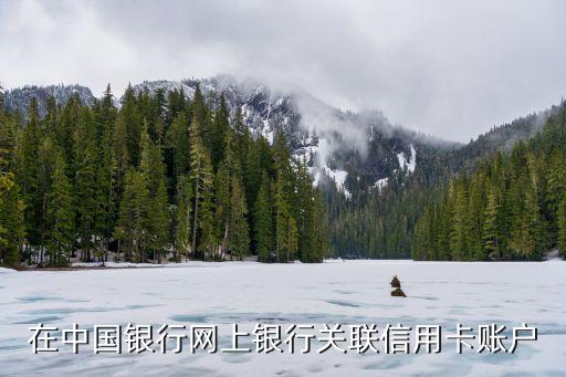 在中国银行网上银行关联信用卡账户