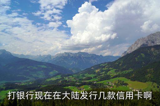 打银行现在在大陆发行几款信用卡啊