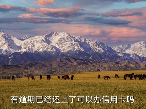 有逾期就不能办信用卡了吗,网贷逾期可以办信用卡吗