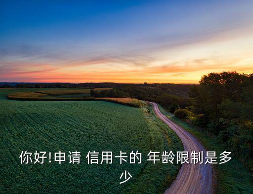 你好!申请 信用卡的 年龄限制是多少
