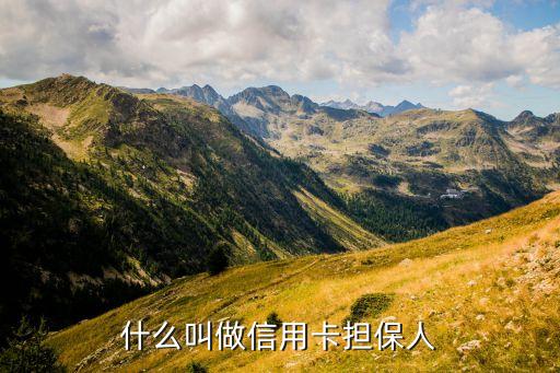什么叫信用卡担保，什么叫做信用卡担保人