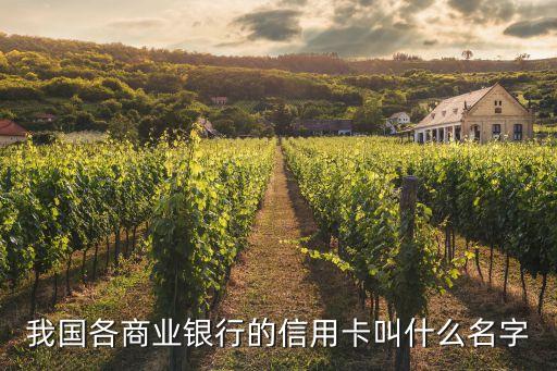我国各商业银行的信用卡叫什么名字