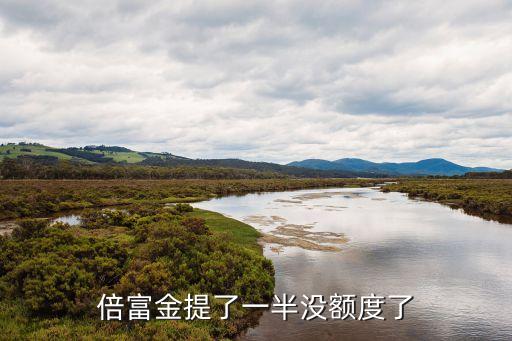 倍富金提了一半没额度了
