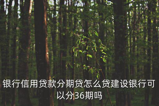银行信用贷款分期贷怎么贷建设银行可以分36期吗