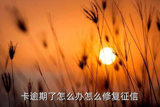 卡逾期了怎么办怎么修复征信