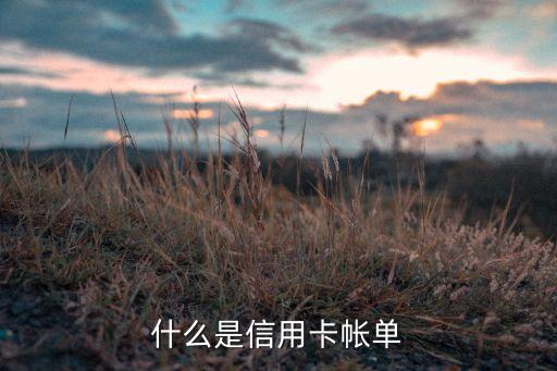 什么是信用卡帐单