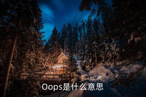 Oops是什么意思