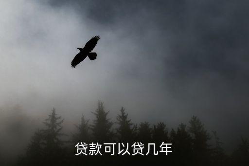 贷款可以贷几年