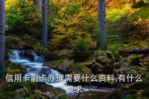 怎样申请建行信用卡副卡吗,如何办理建行信用卡