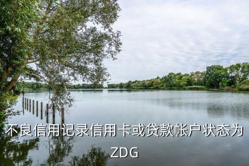 信用卡z代表什么，信用卡上不同的还款状态代分别表什么意思