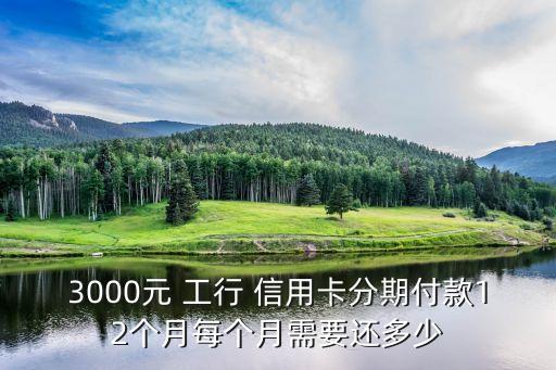 3000元 工行 信用卡分期付款12个月每个月需要还多少