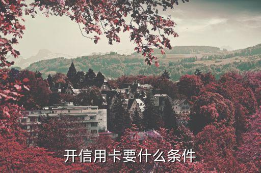 开信用卡要什么条件