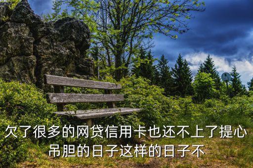 欠了很多的网贷信用卡也还不上了提心吊胆的日子这样的日子不