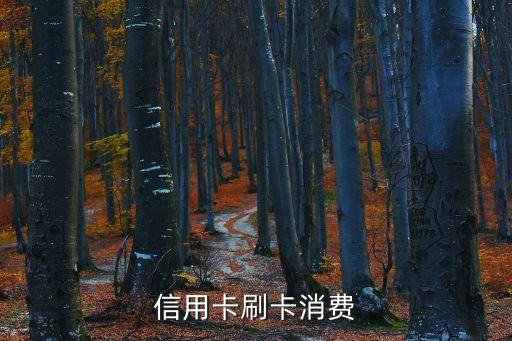 信用卡刷卡消费