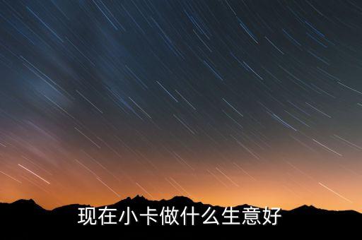 信用卡什么业务好做，现在小卡做什么生意好