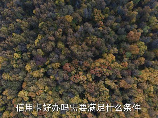 信用卡好办吗需要满足什么条件