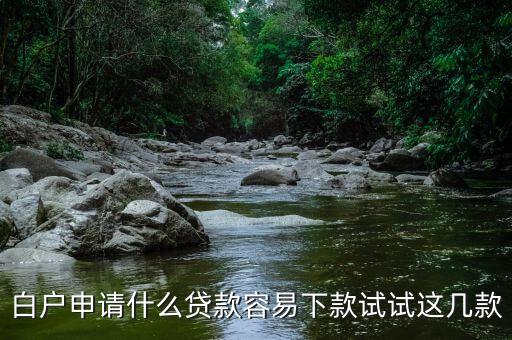 白户申请什么贷款容易下款试试这几款