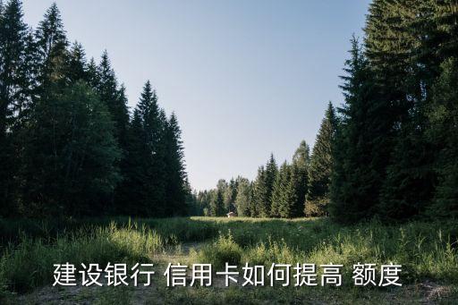 建设银行 信用卡如何提高 额度