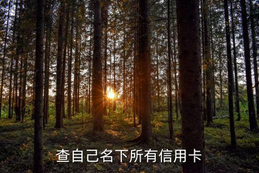 查自己名下所有信用卡