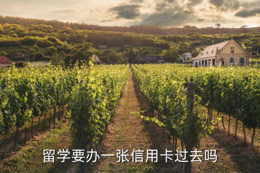 留学要办一张信用卡过去吗