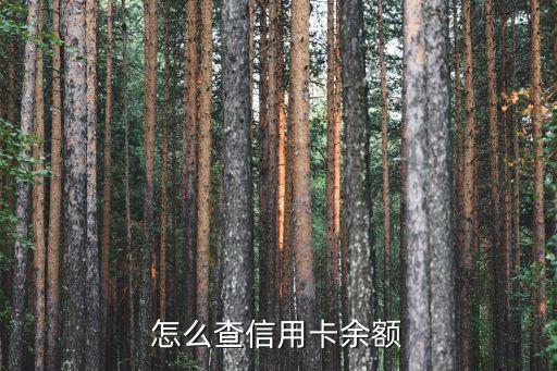 信用卡有额度不能查询余额,我有信用卡额度为什么我不能用