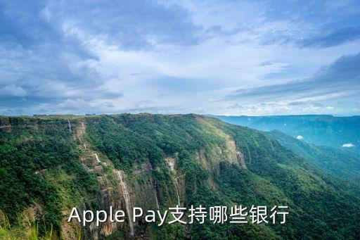 Apple Pay支持哪些银行