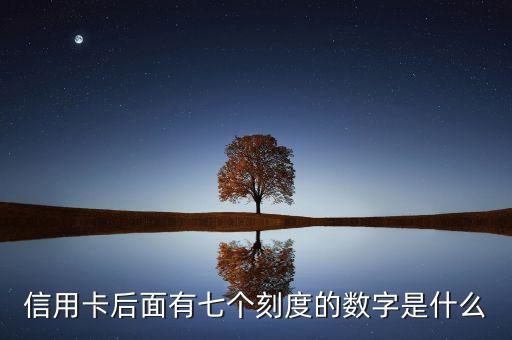 信用卡后面有七个刻度的数字是什么