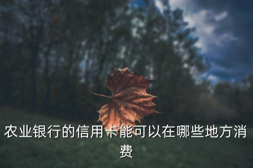 农业银行的信用卡能可以在哪些地方消费