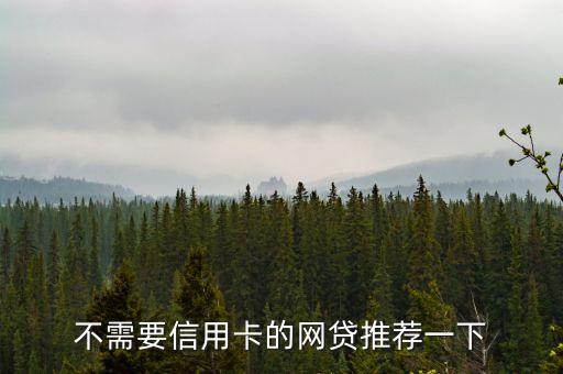 没有信用卡什么口子，不需要信用卡的网贷推荐一下