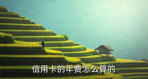 信用卡的年费怎么算的