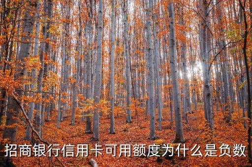 招商银行信用卡可用额度为什么是负数