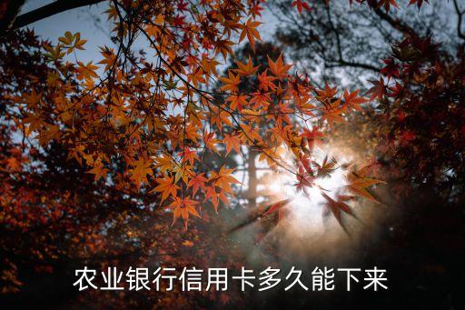 农业银行信用卡多久能下来